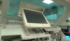 Liban : la guerre de trop