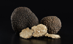 La truffe a longtemps été un mystère et on sait aujourd’hui que c’est un champignon. crédit photo : Shutterstock