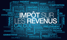 Combien allez-vous payer d'impôt sur le revenu en 2022 ? ( Crédits: © morganimation - stock.adobe.com)
