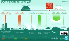 Les émissions de méthane contrent les efforts de lutte contre le réchauffement climatique