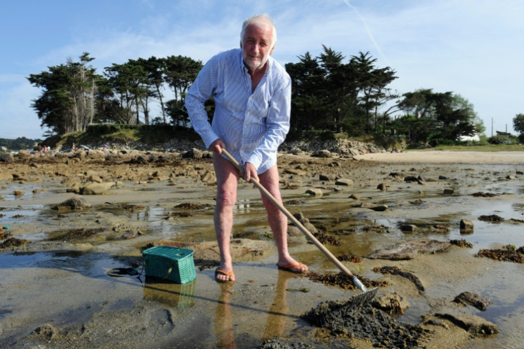 L'ancien directeur général d'Elf, Loïk Le Floch-Prigent, ramasse des coquillages sur la plage de Trébeurden (Côtes-d'Armor) le 20 août 2012 ( AFP / FRED TANNEAU )