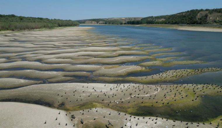 Photo des rives asséchées du Danube à Rasova en Roumanie, le 13 août 2026 ( AFP / Daniel MIHAILESCU )