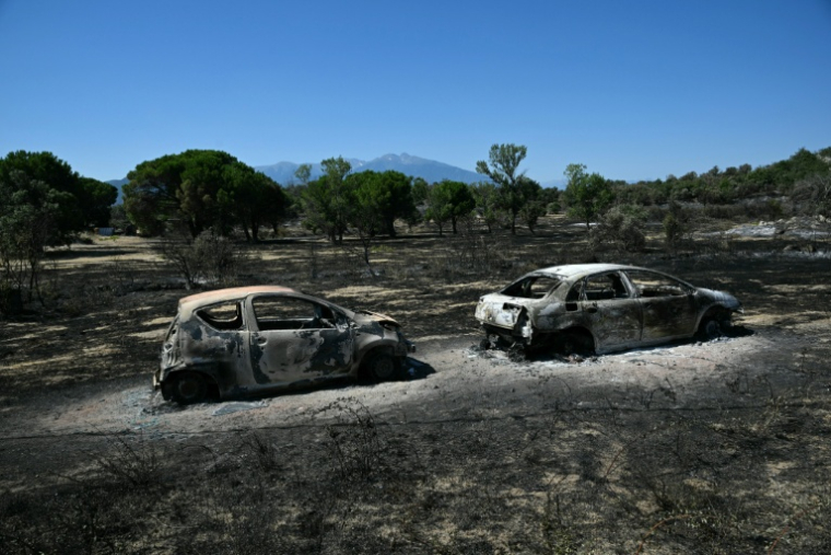 Des épaves de voitures calcinées dans une zone dévastée par un feu de forêt près de Perpignan, le 7 juillet 2026 dans les Pyrénées-Orientales ( AFP / Lionel BONAVENTURE )