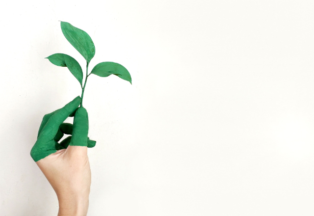 Vous hésitez encore ? Découvrez quatre bonnes raisons d’investir dans la finance durable. (Crédit Pexels)