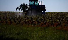 Un agriculteur français conduit son tracteur pour pulvériser son champ à Vallet, près de Nantes