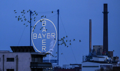 ( AFP / INA FASSBENDER )