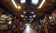 LA FEVS SALUE LA SUSPENSION DES DROITS DE DOUANE UE-USA