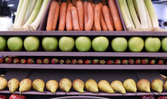 ( AFP / MIGUEL MEDINA )