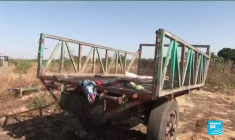 Conflit en Éthiopie : au moins 600 civils tués le 9 novembre au Tigré