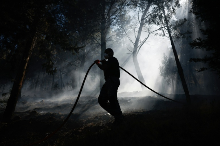 Des pompiers tentent d'éteindre un incendie de forêt le 23 juin 2025 sur l'île de Chios en Grèce ( AFP / Dimitris Tosidis )