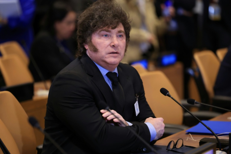 Le président argentin Javier Milei, à l'assemblée générale de l'ONU à New York le 22 septembre 2026. ( POOL / CHARLY TRIBALLEAU )