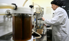 Production de whisky dans une distillerie à Drimnin, dans les Highlands, en Ecosse, le 3 février 2025.  ( AFP / Andy Buchanan )