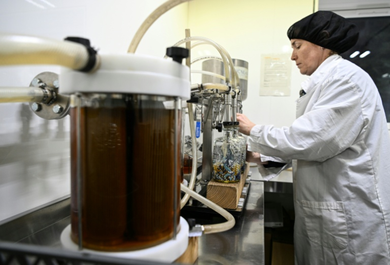 Production de whisky dans une distillerie à Drimnin, dans les Highlands, en Ecosse, le 3 février 2025.  ( AFP / Andy Buchanan )