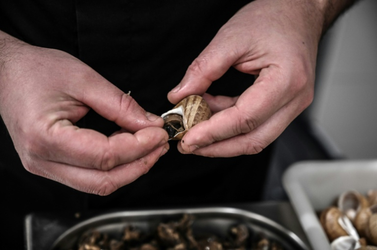Un héliciculteur prépare uen commande d'ecargots de Bourgogne, le 19 février 2021, à Etrigny, en Saône-et-Loire  ( AFP / JEAN-PHILIPPE KSIAZEK )
