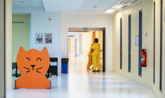 ( AFP / DELPHINE MAYEUR )