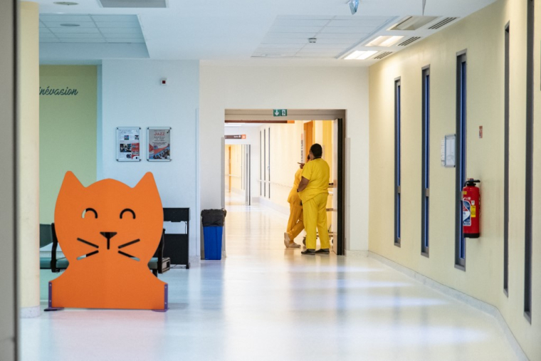 ( AFP / DELPHINE MAYEUR )