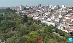 Brésil : du vert sur le béton, à São Paulo, un pari "fou"