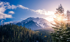 Forêts flamboyantes en automne, festivals vibrants en été, le Canada offre mille et une raisons de s’y rendre.  (Crédits: Unsplash - Neil Rosenstech)