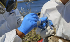 L'agence des Nations unies pour l'agriculture (FAO) s'inquiète de l'évolution de la grippe aviaire dans la zone Asie-Pacifique. ( PARQUE NACIONAL GALAPAGOS / HANDOUT )