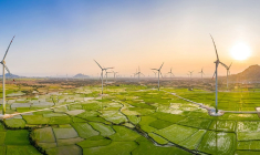 Interview d'Alexis Bossard