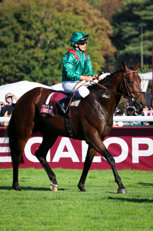 Le jockey français Mickaël Barzalona sur le pur-sang français Daryz remporte le Prix de l'Arc de Triomphe pour la deuxième année d'affilée, le 4 octobre 2026 sur l'hippodrome de Longchamp, à Paris ( AFP / MEHDI FEDOUACH )