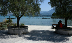 Une femme s'abrite du soleil à l'ombre d'un arbre sur une rive du lac du Bourget, au Bourget-du-Lac, en Savoie le 8 août 2025 ( AFP / JEAN-PHILIPPE KSIAZEK )