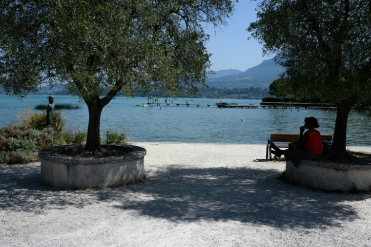 Une femme s'abrite du soleil à l'ombre d'un arbre sur une rive du lac du Bourget, au Bourget-du-Lac, en Savoie le 8 août 2025 ( AFP / JEAN-PHILIPPE KSIAZEK )