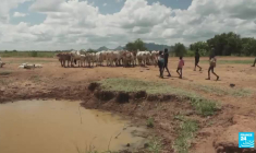 Hilarion Kassa Moussavou, gardien de la forêt gabonaise : "Sans forêt, il n'y a plus rien"