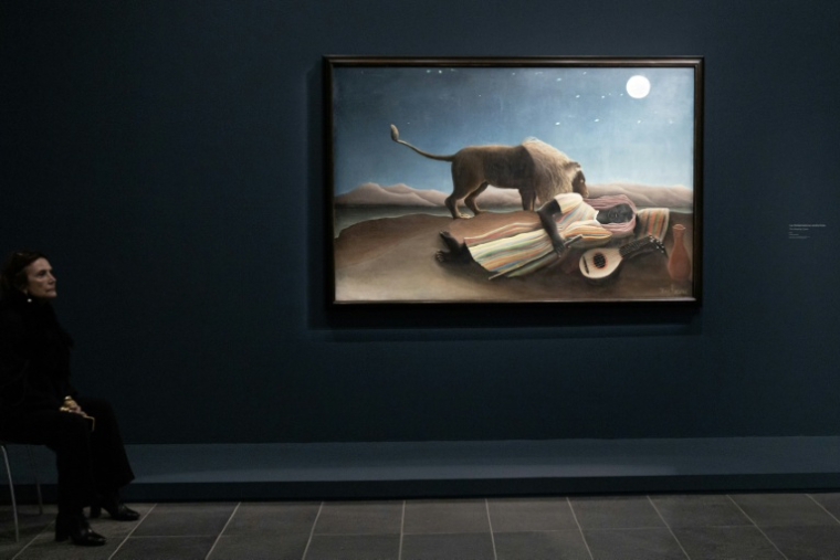 Un visiteur est assis près du tableau "La Bohémienne Endormie" de Henri Rousseau, lors d'une exposition consacrée au peintre au musée de l'Orangerie à Paris, le 20 mars 2026 ( AFP / ALAIN JOCARD )