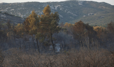 Des fumées au coeur d'une zone forestière à Fraisse-des-Corbières, dans l'Aude, le 7 août 2025 ( AFP / Valentine CHAPUIS )