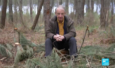 L'énergie solaire en quête d'expansion sur le territoire français