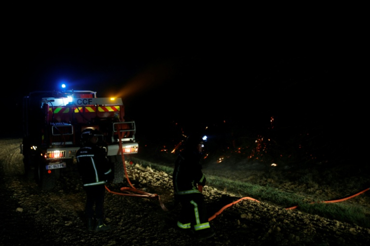 Des pompiers luttent contre un incendie dans la forêt de Fontainebleau, le 13 juillet 2026 à Noisy-sur-Ecole, en Seine-et-Marne ( AFP / GEOFFROY VAN DER HASSELT )