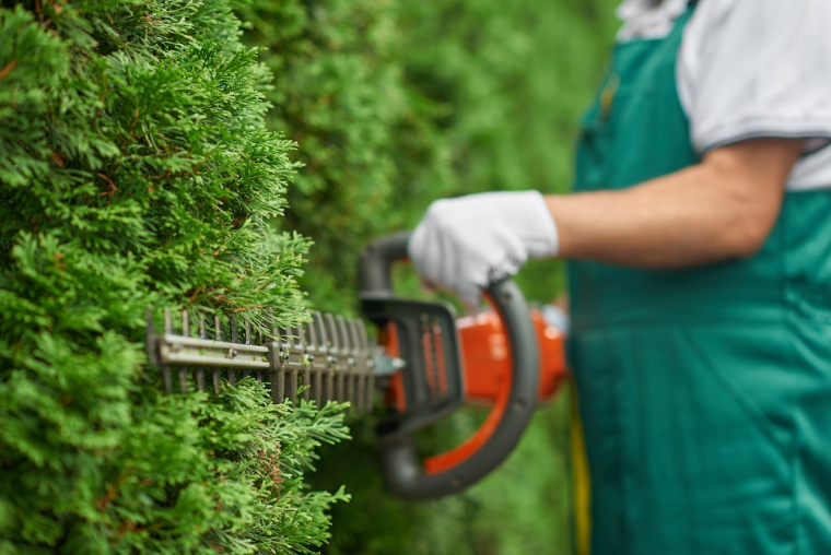 Vous passez par un professionnel pour votre jardinage ? N'oubliez pas de le mentionner dans votre d&eacute;claration. ( Cr&eacute;dits photo: &copy;  serhiibobyk - stock.adobe.com)