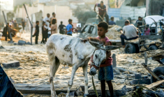 Dans les ruines de Khan Younès, dans le sud de la bande de Gaza, le 28 juillet 2025 ( AFP / - )