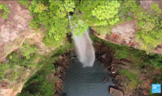 Brésil : la déforestation en Amazonie au plus bas en janvier-février depuis 2018