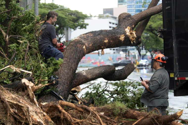 Des ouvriers tronçonnent un arbre devant un centre de conférences à Honolulu (Hawaï), après le passage de la tempête Lala, le 16 août 2026 ( AFP / Eugene Tanner )