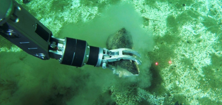 Photo prise par "Global TREnD, IDSSE" et diffusée le 10 juin 2026 montrant un bras robotique manipulant un os de baleine dans le plus grand cimetière de baleines connu au monde, découvert par le submersible chinois Fendouzhe, à sept kilomètres de profondeur dans l'océan Indien  ( Global TREnD, IDSSE / Handout )