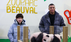 Quels prochains investissements pour Kylian Mbappé ?