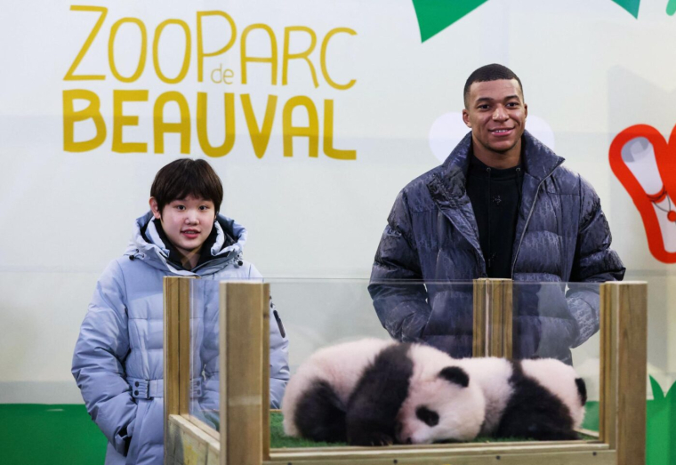 Quels prochains investissements pour Kylian Mbappé ?