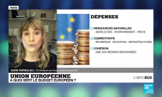 Budget européen et plan Next Génération : en quoi servent-ils la relance de l'Europe ?