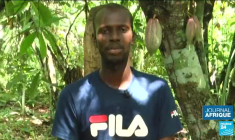 Côte d'Ivoire : les producteurs de cacao en grève