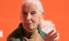 Décès de la primatologue Jane Goodall à l'âge de 91 ans