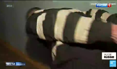 Après l'attentat de Moscou, l'Etat russe appelle à la "vengeance"... contre l'Ukraine