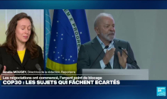 COP-30 : Quels sont les sujets qui bloquent ?