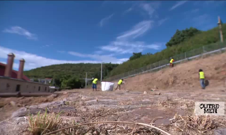 Polynésie : un sommet pour la préservation des océans