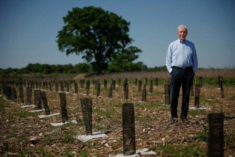 Bernard Tailly, ancien maire de Frépillon et président du Syndicat mixte d'aménagement de la Plaine de Pierrelaye-Bessancourt (SMAPP), au milieu des jeunes arbres plantés pour reboiser la zone de la "Forêt de Maubuisson" à Méry-sur-Oise, au nord-ouest de Paris, le 29 avril 2025 ( AFP / Ian LANGSDON )