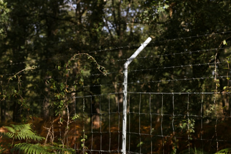 Grillage et fils de fer barbelé autour d'une propriété privée en Sologne, à Brinon-sur-Sauldre, dans le Cher, le 26 août 2026 ( AFP / Alain JOCARD )