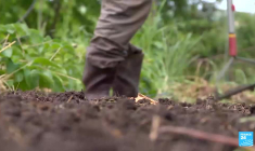 Des aliments sains et durables pour tous !