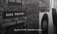 Photographie: la "folie humaine" d'Auschwitz-Birkenau vue par Depardon
