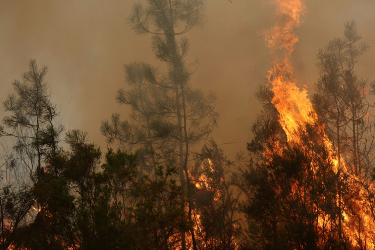Incendie à Arès, en Gironde, le 26 juillet 2026 ( AFP / ROMAIN PERROCHEAU )